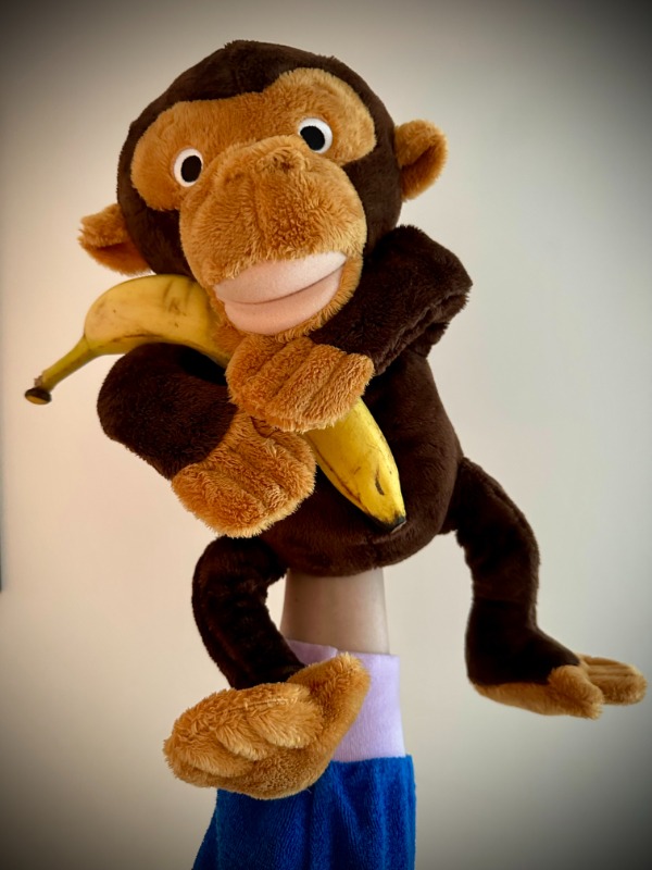 Affe Bodo klatscht im Takt