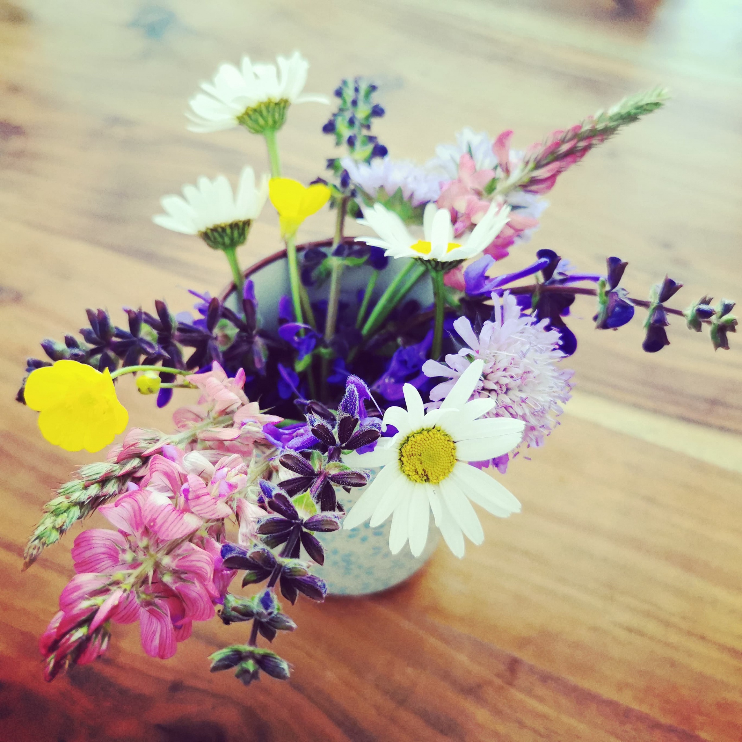 Bunter Frühlingsstrauß in einer kleinen Vase