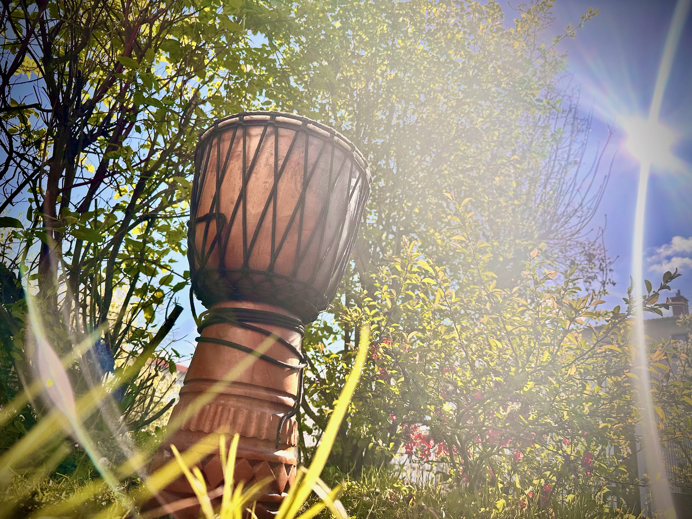 Djembe im Garten vor sonnenbeschienenen Bäumen