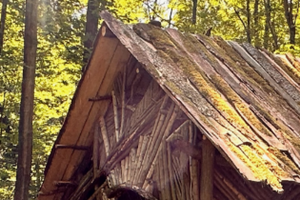 Holzhütte zwischen Bäumen im Kunstwald Darmstadt